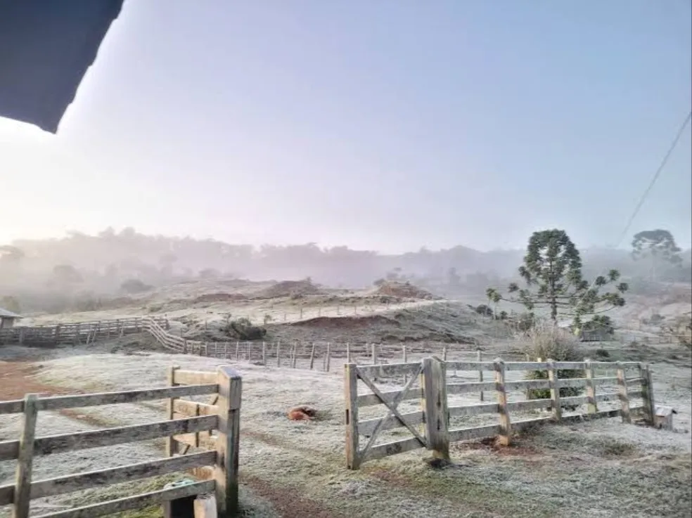 Maio terá mais frio, geadas e frentes frias no Paraná, aponta Simepar
