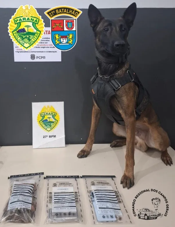 ROTAM prende suspeito de tráfico de drogas no bairro Limeira