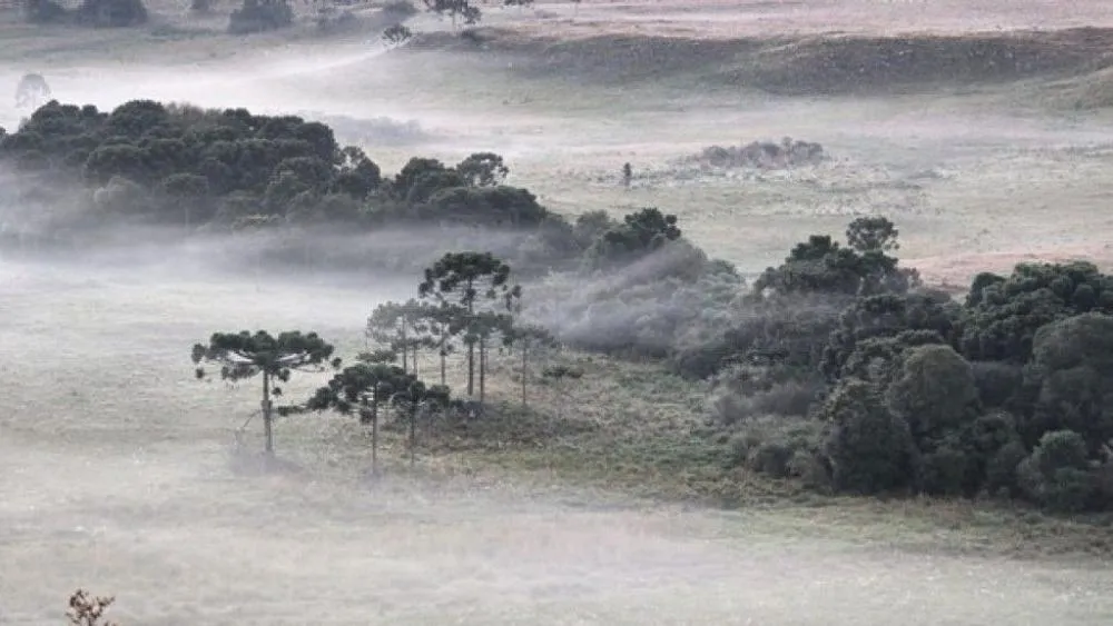 Porto União amanhece entre as cidades mais frias de Santa Catarina novamente
