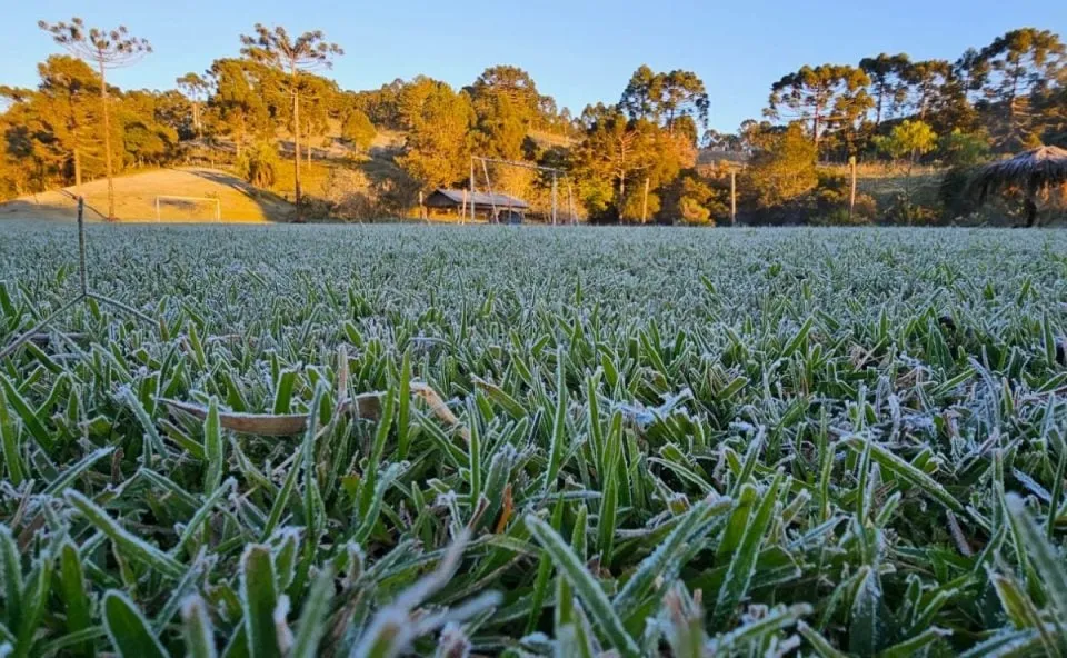 Paraná registra geadas, temperaturas negativas e sensação térmica de até -7,5°C