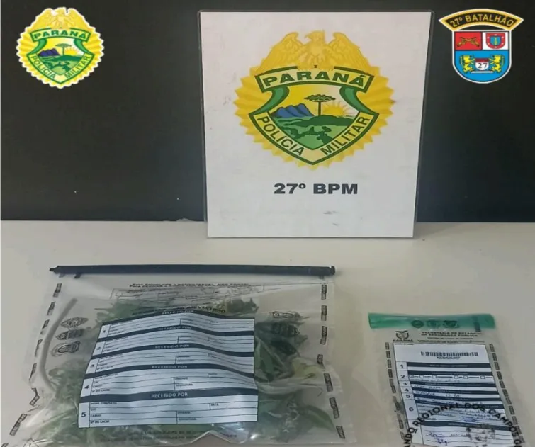 ROTAM apreende pé de maconha durante patrulhamento no bairro Limeira