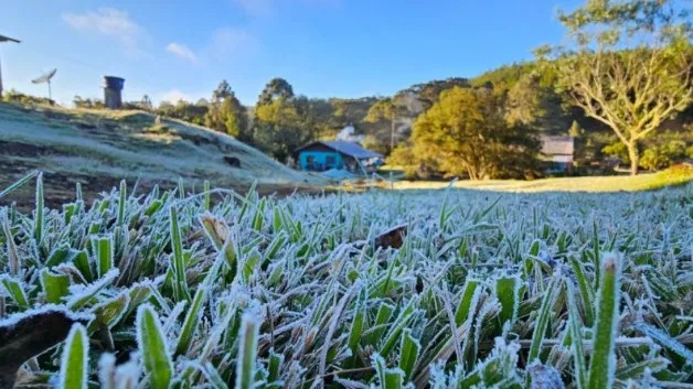 Paraná entra em alerta para geadas com avanço de massa de ar polar