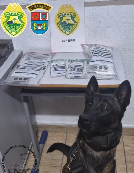 ROTAM prende dois homens por tráfico de drogas no bairro Bom Jesus