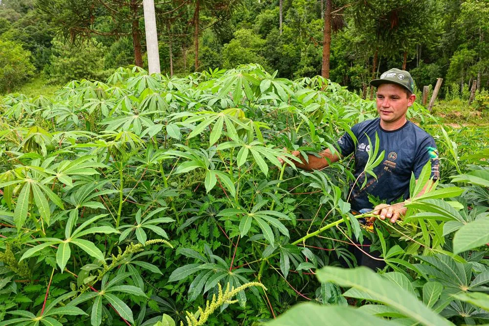Programa de assistência dobra lucro e melhora gestão no campo